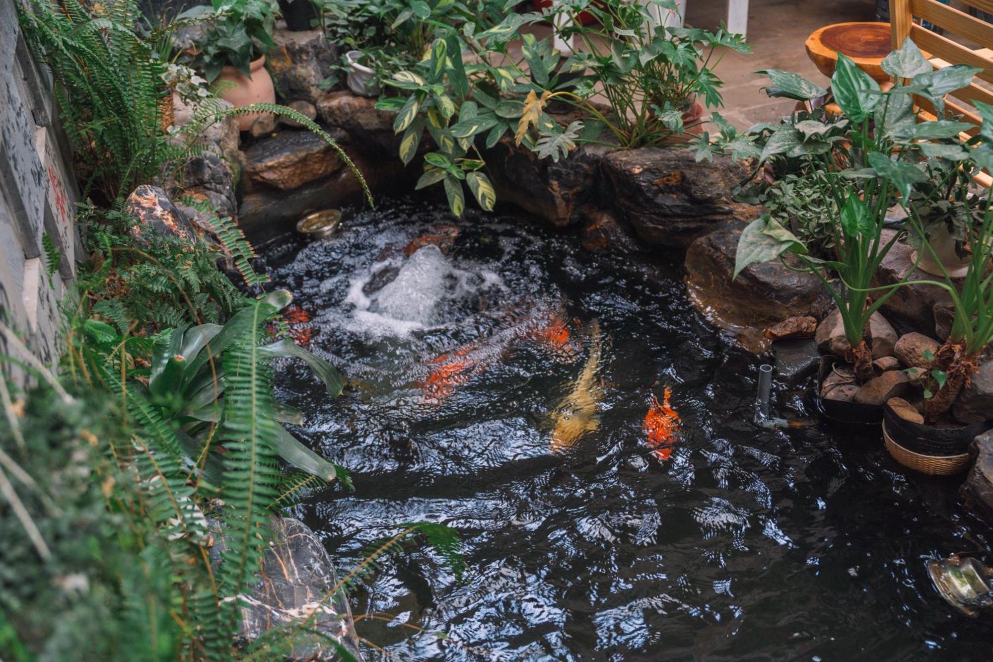 St House Dalat Hotel Екстериор снимка